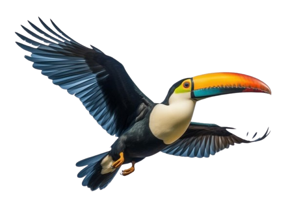 Flying Bird