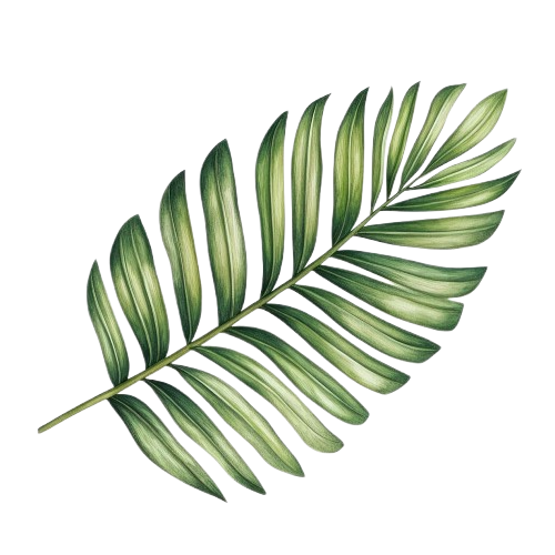 leaf