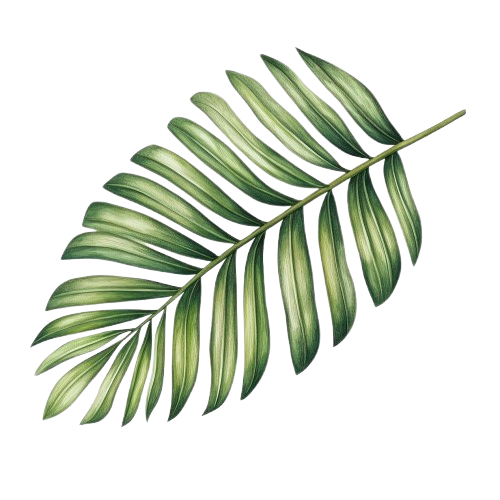 leaf